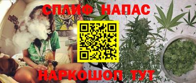 стафф Берёзовский