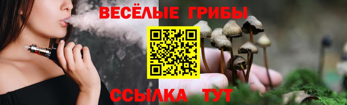 где купить   Псилоцибиновые грибы Psilocybe  Вход с VPN  Жуковский  Псилоцибиновые грибы Psilocybe 